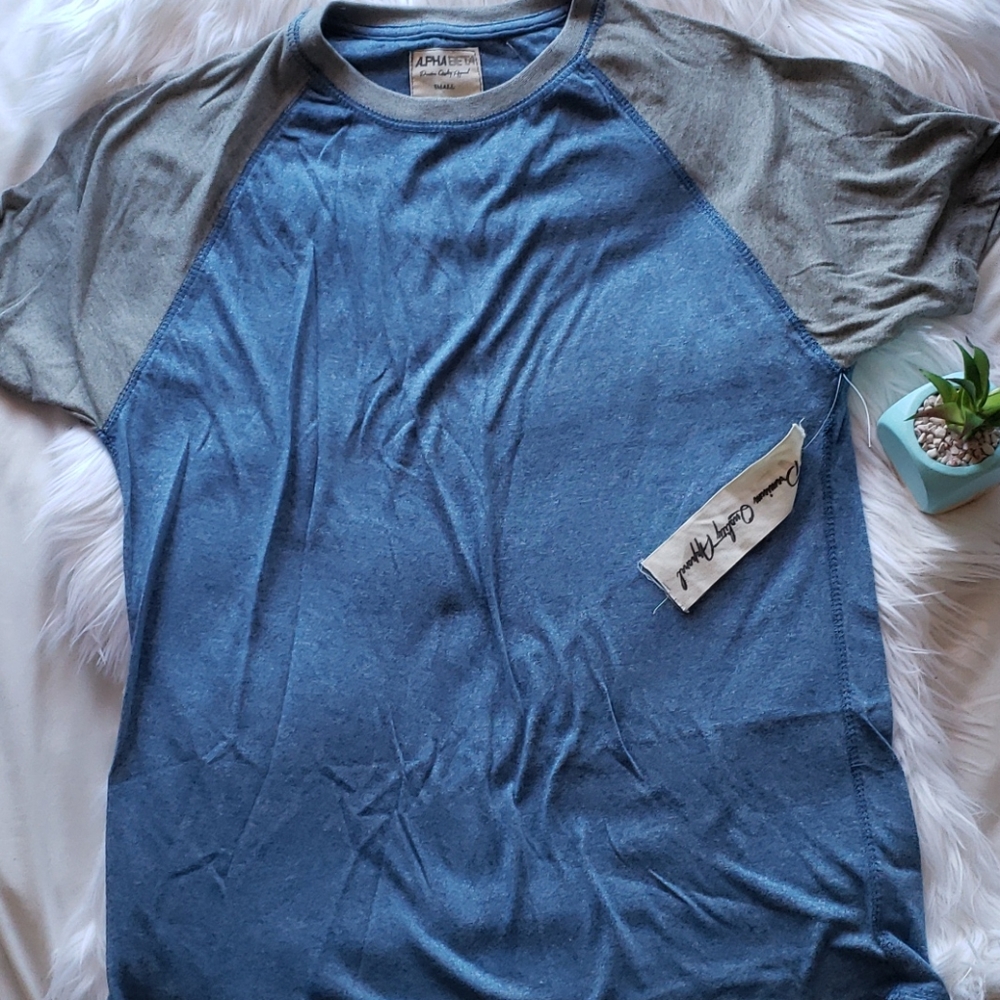 Alpha Beta Gray Blue Crewneck T Shirt